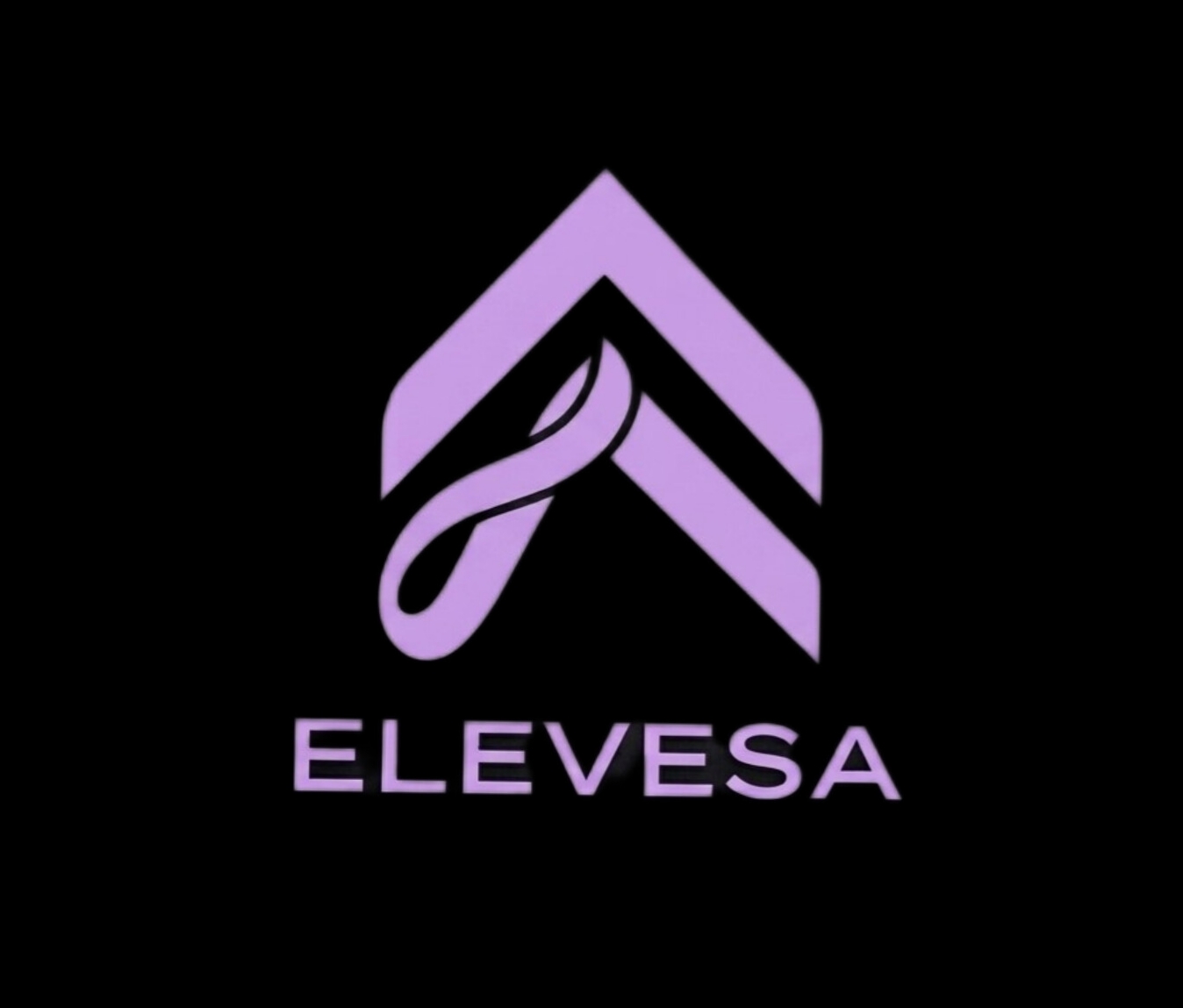 elevesa